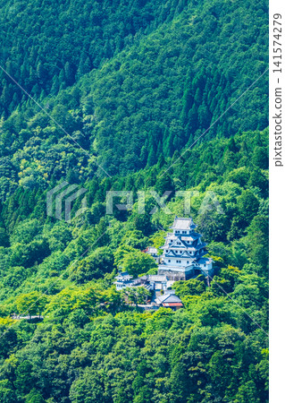 Gujo Hachiman Castle Gujo Hachiman Castle 141574279
