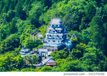 Gujo Hachiman Castle Gujo Hachiman Castle 141574289
