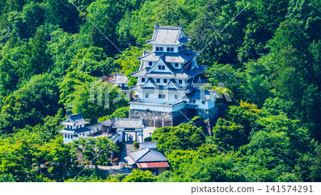 郡上八幡城 郡上八幡城 141574291