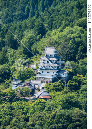 Gujo Hachiman Castle Gujo Hachiman Castle 141574292