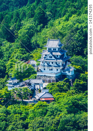郡上八幡城 郡上八幡城 141574295