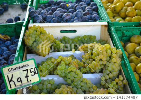 Swiss morning market Swiss morning market 141574497