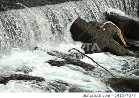 Flooding and rising water levels of rivers Flooding and rising water levels of rivers 141574577