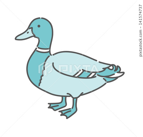 一幅簡單的鴨子全身插圖。 一幅簡單的鴨子全身插圖。 141574737