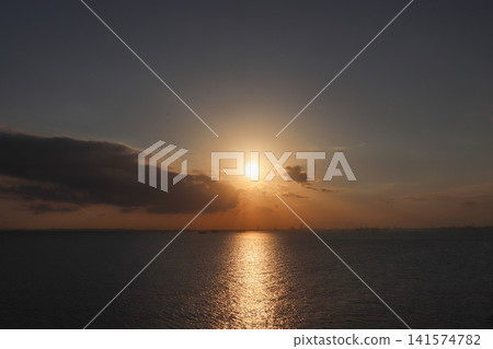 海螢夜景 海螢夜景 141574782