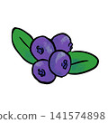 Simple hand-drawn illustration of a blueberry 141574898