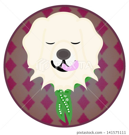 Golden Retriever face illustration with a circular background Golden Retriever face illustration with a circular background 141575111