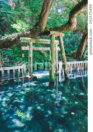 Kashima Shrine, Mitarai Pond (vertical) Kashima Shrine, Mitarai Pond (vertical) 141575494