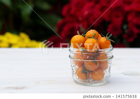 Jar of orange cherry tomatoes in the summer blooming garden. Jar of orange cherry tomatoes in the summer blooming garden. 141575638