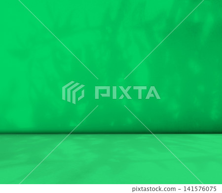 Background green shadow floor studio room photo empty gradient leaf Floor wall backdrop muslin design canvas surface texture podium eco Scene mockup product cosmetic beauty organic display stand. 141576075