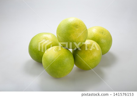 Crystal Buntan (pomelo) - Kochi Prefecture Crystal Buntan (pomelo) - Kochi Prefecture 141576153