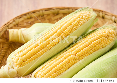 玉米:帶皮的生玉米,裝在竹籃裡。 玉米:帶皮的生玉米,裝在竹籃裡。 141576363