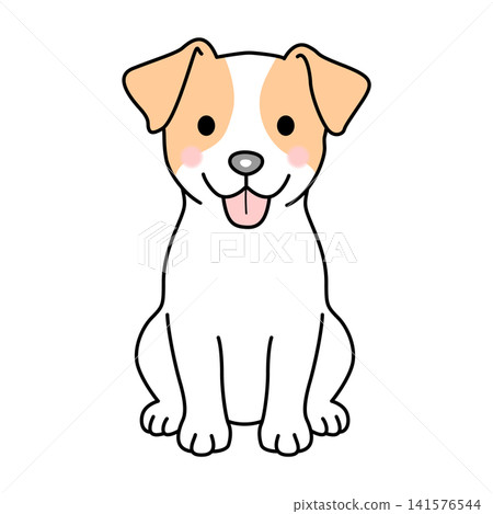 Vector illustration of a Jack Russell Terrier (smooth coat) (full body). 141576544