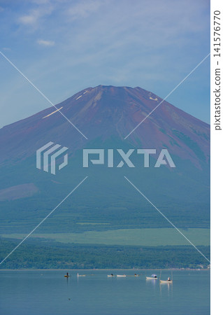 Mt. Fuji seen from Lake Yamanaka in summer Mt. Fuji seen from Lake Yamanaka in summer 141576770