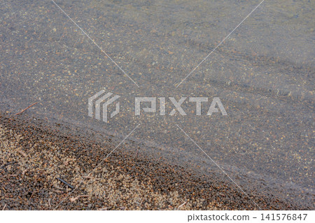At the beach of the lake At the beach of the lake 141576847