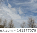 Winter sky 141577079