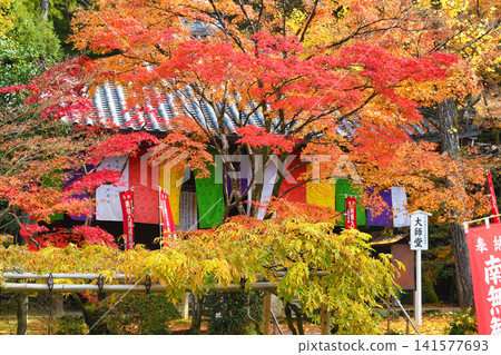 Kyoto, Imakumano Kannon-ji Temple: Beautiful autumn foliage and the Daishido Hall (Higashiyama Ward, Kyoto City, Kyoto Prefecture) Kyoto, Imakumano Kannon-ji Temple: Beautiful autumn foliage and the Daishido Hall (Higashiyama Ward, Kyoto City, Kyoto Prefecture) 141577693