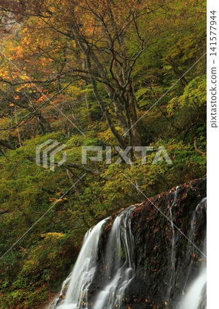 葛丸川峽谷被染成了秋天的色彩。 葛丸川峽谷被染成了秋天的色彩。 141577944