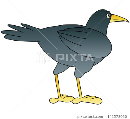 Hand-drawn animal illustration ☆ Crow Hand-drawn animal illustration ☆ Crow 141578030