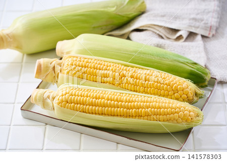 玉米:帶皮的生玉米棒,放在白色磁磚上。 玉米:帶皮的生玉米棒,放在白色磁磚上。 141578303