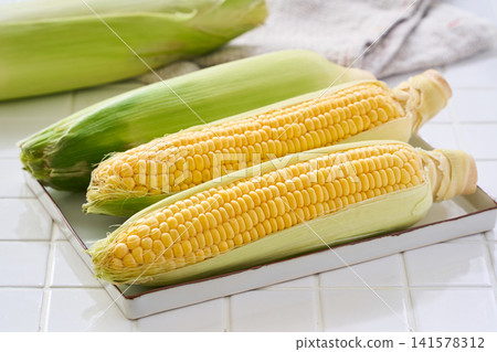 玉米:帶皮的生玉米棒,放在白色磁磚上。 玉米:帶皮的生玉米棒,放在白色磁磚上。 141578312