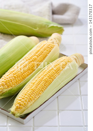 玉米:帶皮的生玉米棒,放在白色磁磚上。 玉米:帶皮的生玉米棒,放在白色磁磚上。 141578317