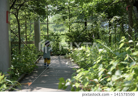 A boy walking through a green tunnel A boy walking through a green tunnel 141578500