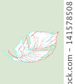 Fallen leaves dyed in autumn colors Fallen leaves dyed in autumn colors 141578508