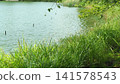 Ikeda Lake Park (Omura City, Nagasaki Prefecture) 141578543