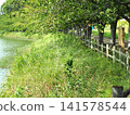 Ikeda Lake Park (Omura City, Nagasaki Prefecture) 141578544