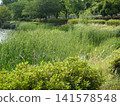 Ikeda Lake Park (Omura City, Nagasaki Prefecture) 141578548