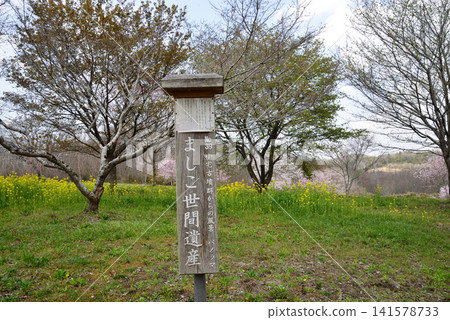 大宅墓群「油菜花與櫻花節」#42 141578733