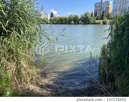 Calm peaceful lake in city park Calm peaceful lake in city park 141578850