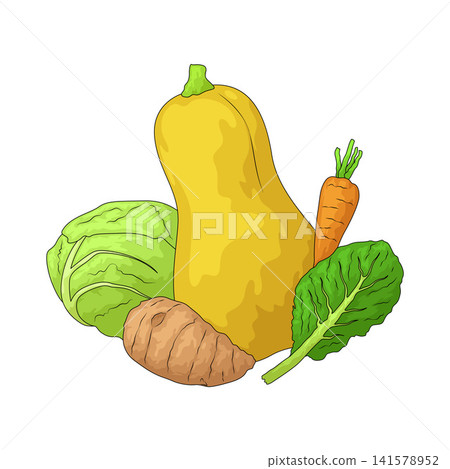 Illustration of Veg Mix Illustration of Veg Mix 141578952