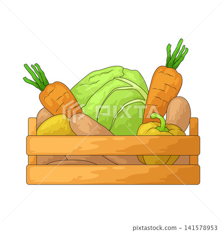 Illustration of Veg Box Illustration of Veg Box 141578953