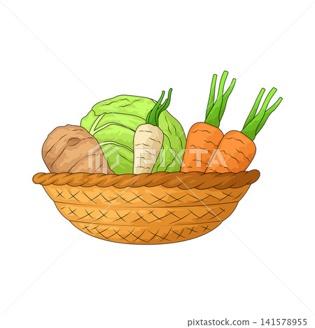 Illustration of Veg Basket Illustration of Veg Basket 141578955