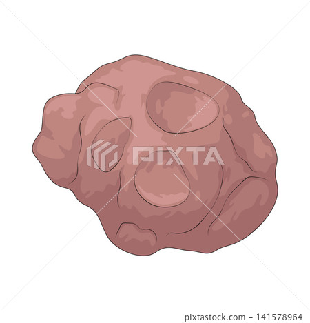 Illustration of Sunchoke 141578964
