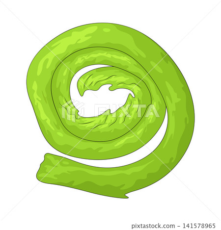 Illustration of Fiddlehead Illustration of Fiddlehead 141578965