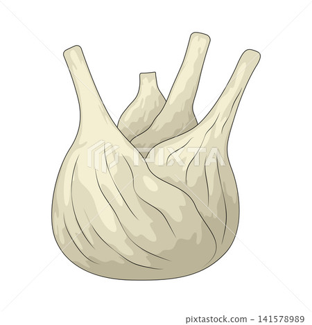 Illustration of Fennel Illustration of Fennel 141578989