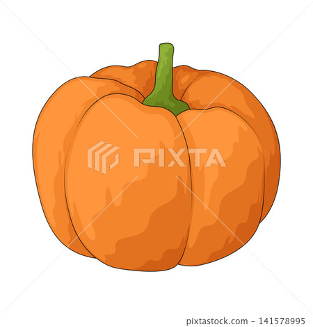 Illustration of Pumpkin Illustration of Pumpkin 141578995