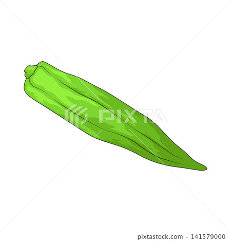 Illustration of Okra Illustration of Okra 141579000