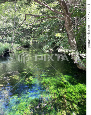 上高地的水邊 上高地的水邊 141579001
