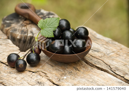 Fresh Blackcurrants in Rustic Wooden Spoon on Weathered Wood Surface CloseUp Summer Fruit Still Life Fresh Blackcurrants in Rustic Wooden Spoon on Weathered Wood Surface CloseUp Summer Fruit Still Life 141579040