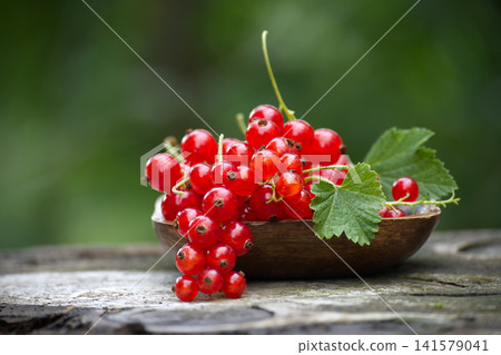 Bowl Of Fresh Red Currants With Green Leaves On Rustic Wooden Surface Outdoor Bowl Of Fresh Red Currants With Green Leaves On Rustic Wooden Surface Outdoor 141579041