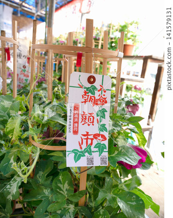 Iriya Morning Glory Market, Tokyo Iriya Morning Glory Market, Tokyo 141579131
