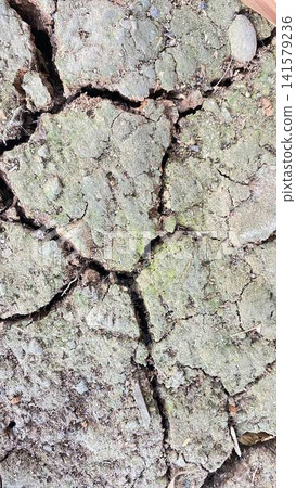 Dry Cracked Earth Texture Dry Cracked Earth Texture 141579236