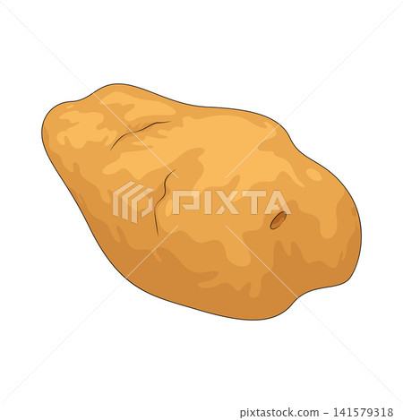 Illustration of Potato Illustration of Potato 141579318