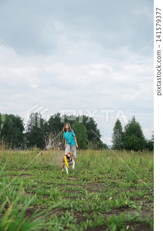 Girl playing with beagle dog in open meadow. Teenager throwing yellow disc to happy pet. Girl playing with beagle dog in open meadow. Teenager throwing yellow disc to happy pet. 141579377