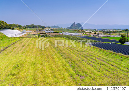 鹿兒島縣指宿市一片寧靜的鄉村景色。 鹿兒島縣指宿市一片寧靜的鄉村景色。 141579407