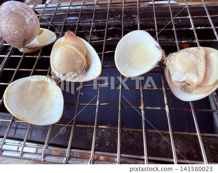 Grilled clams, their shells cracking open from the heat, are piping hot (sizzling). Grilled clams, their shells cracking open from the heat, are piping hot (sizzling). 141580023